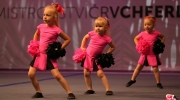 Mistrovstvi CR v cheerleadingu 2015