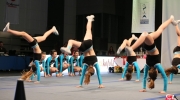 Mistrovstvi CR v cheerleadingu 2015