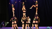 Roller Coaster Cup 2015